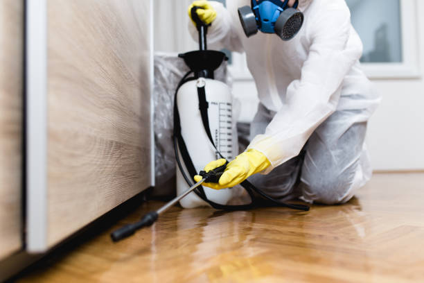 Best Local Pest Control Services  in Springfield, TN