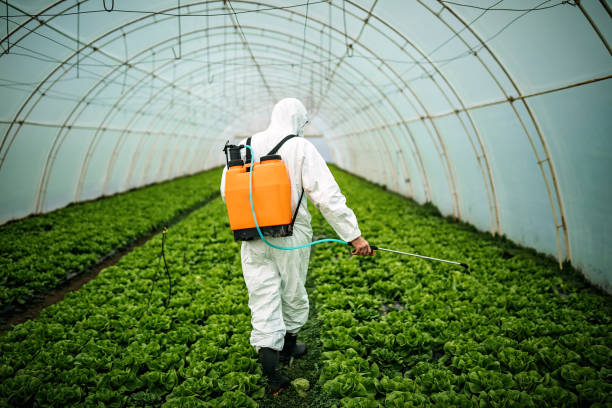 Best Pest Control Cost  in Springfield, TN