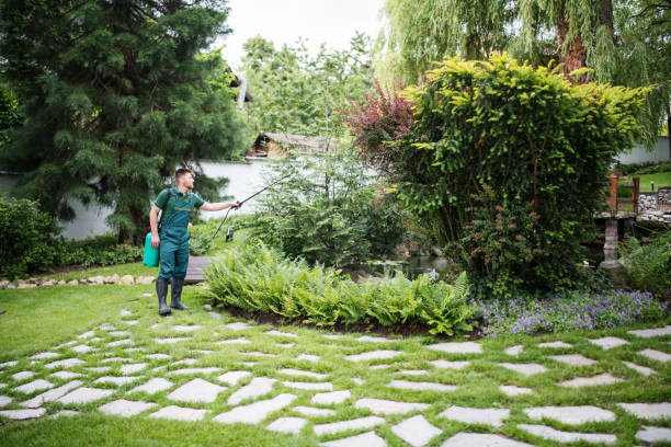 Trusted Springfield, TN Pest Control Experts