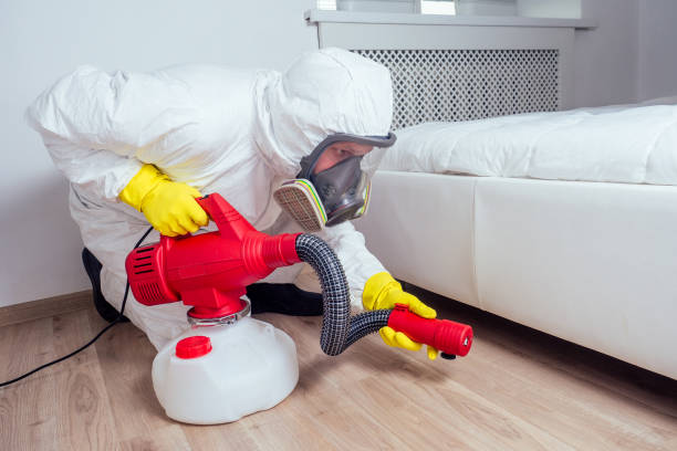 Best Flea Control Services  in Springfield, TN