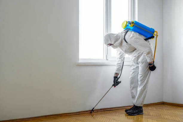 Best Exterminator Services  in Springfield, TN