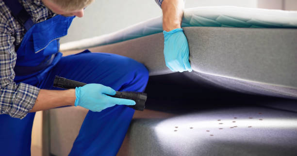 Best Wasp Removal Services  in Springfield, TN