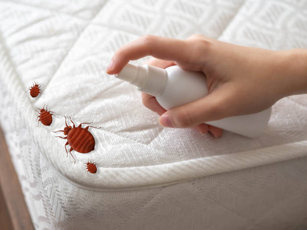 Best Pest Control for Businesses  in Springfield, TN